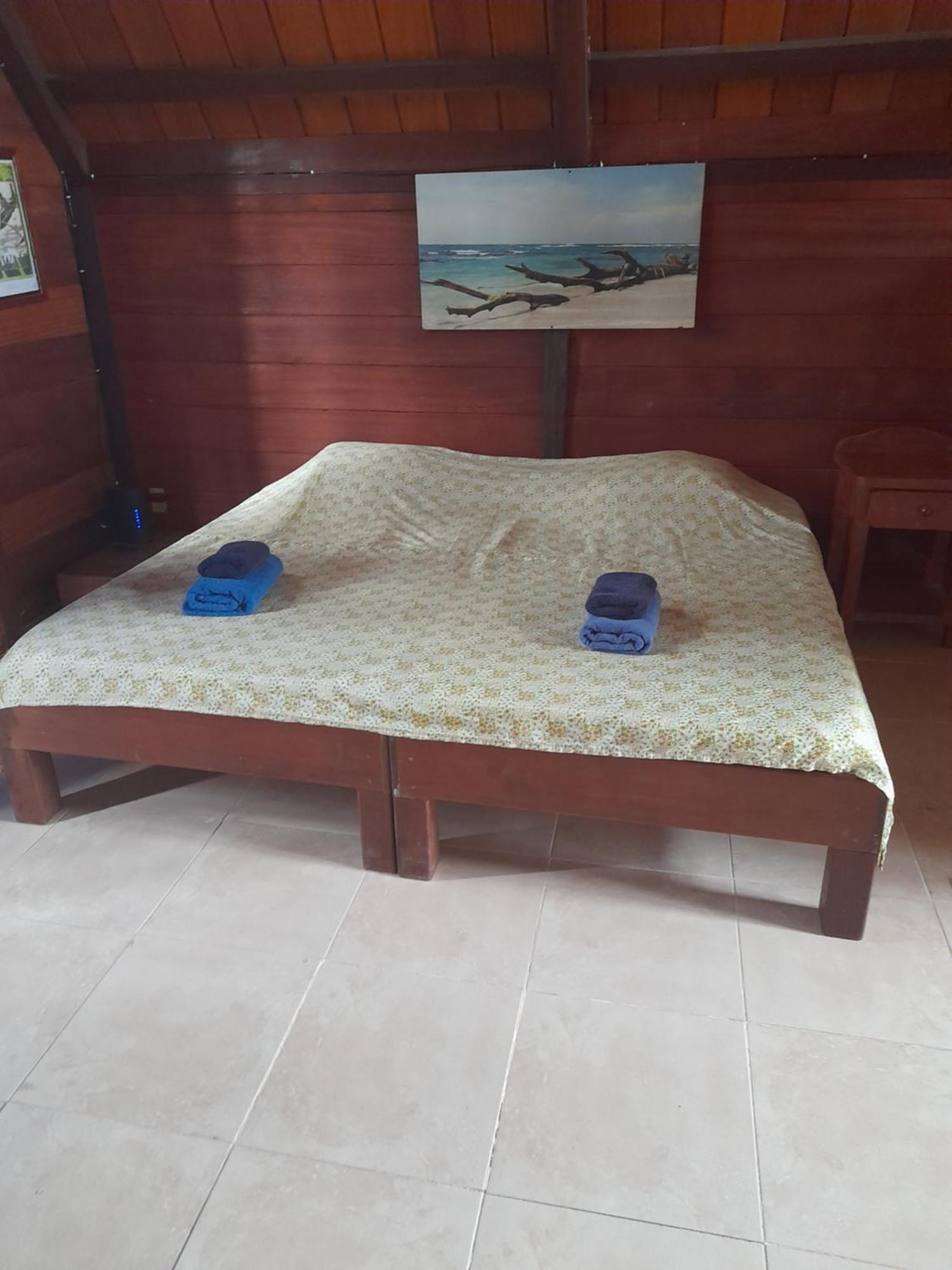 Charming Yellow Houses Loft-Style Apartment โบกัสทาวน์ ภายนอก รูปภาพ